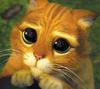 Avatar de Majong