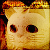 Avatar de Poupinetta/Thilia