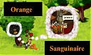 Avatar de Orange Sanguinaire