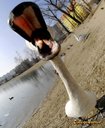 Avatar de Canard bleu