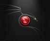 Avatar de LNMY-SCK
