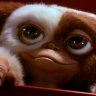 Avatar de SensiGizmo
