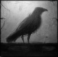 Avatar de Noircorbo