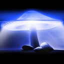 Avatar de Mushroom
