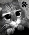 Avatar de Lynx