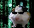 Avatar de djekill