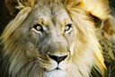 Avatar de draregerreip
