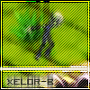 Avatar de xelor-b