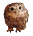 Avatar de obleko