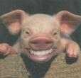 Avatar de BourCochon
