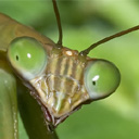 Avatar de harykovair