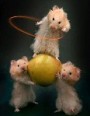 Avatar de KkUeT