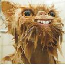 Avatar de l'arc de Gabriel