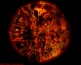 Avatar de kalich