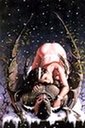 Avatar de sehalia