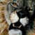 Avatar de -flippe-