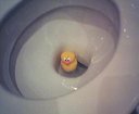 Avatar de Canard VayCay