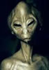 Avatar de Metos Hyjoo