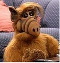 Avatar de Gordon Shumway