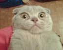 Avatar de T.P