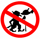 Avatar de Ruthenium