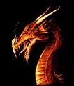 Avatar de ArkaTakoR