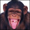 Avatar de Donoro