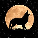 Avatar de Semcatala