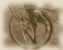 Avatar de NeosliveR