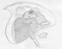 Avatar de Ikonoha