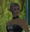 Avatar de Dorel