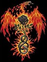 Avatar de dharmayou