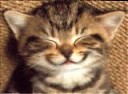 Avatar de pipoualex [domen]