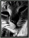 Avatar de Maikai