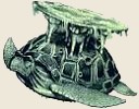 Avatar de Discworld