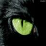 Avatar de Lunenoir