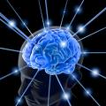 Avatar de Brained
