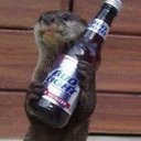 Avatar de MrLoutre