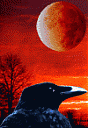 Avatar de sadraven
