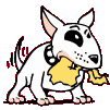 Avatar de Toa