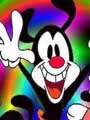 Avatar de dzn-dzn