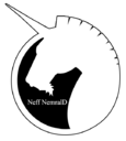 Avatar de Nemrald.
