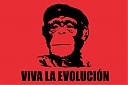 Avatar de Nitriik