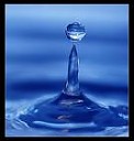 Avatar de Rain'