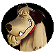 Avatar de Mumbly