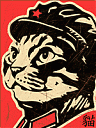 Avatar de Minayora