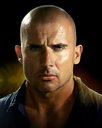 Avatar de Burr-Ows