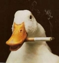 Avatar de Duduck