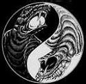 Avatar de ParadRox