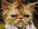 Avatar de Sancrieur